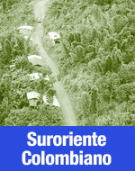 Panorama actual suroriente colombiano