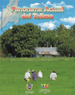 Panorama Actual del Tolima