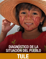 Diagnóstico de la situación del pueblo Tule