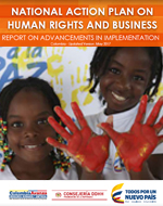 National Action Plan on Human Rights and Business